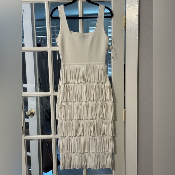 Endless Rose Fringe Midi Dress - Picture 4 of 5